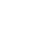 NetEnt games at Polo Bingo Casino